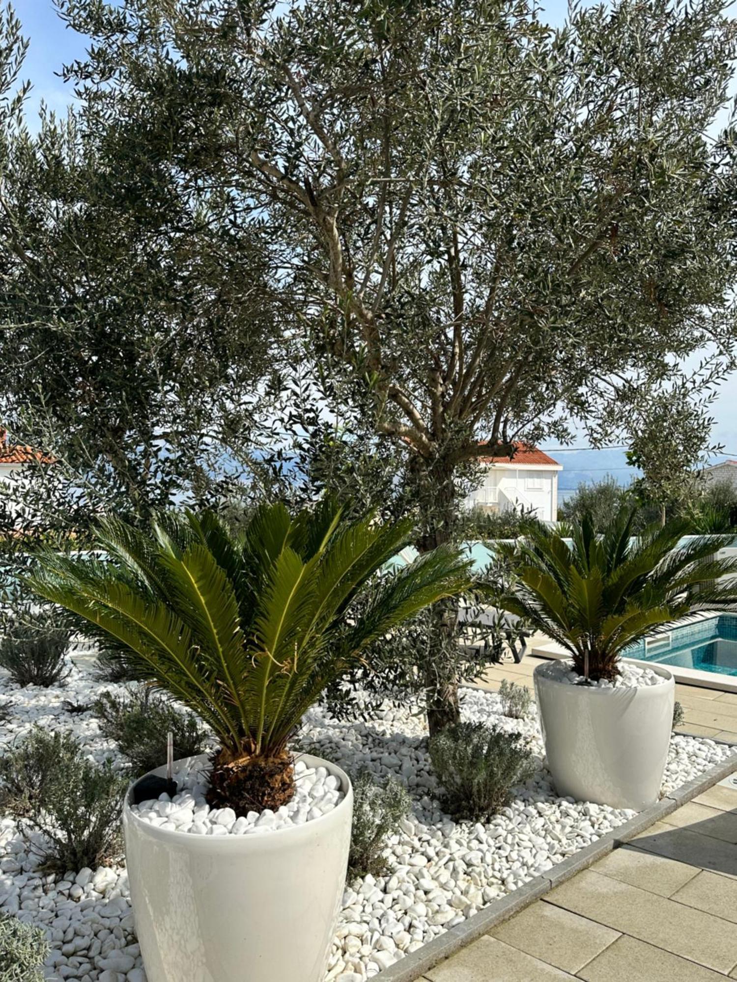 Appartamento Marina